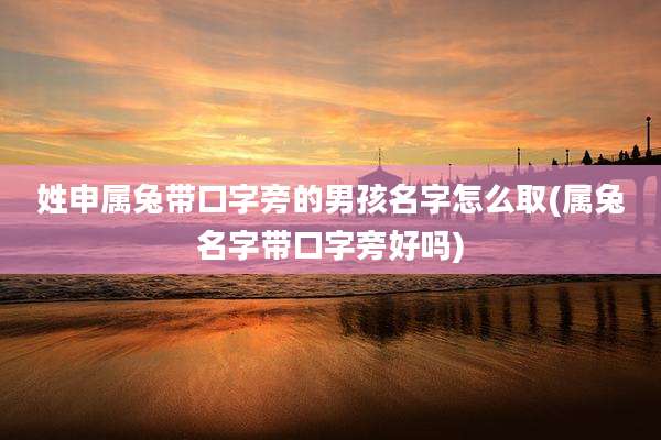 姓申属兔带口字旁的男孩名字怎么取(属兔名字带口字旁好吗)