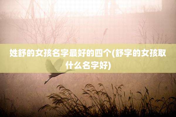 姓舒的女孩名字最好的四个(舒字的女孩取什么名字好)
