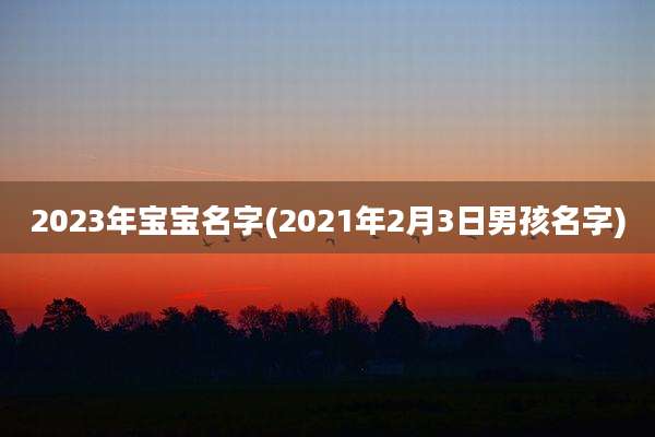 2023年宝宝名字(2021年2月3日男孩名字)