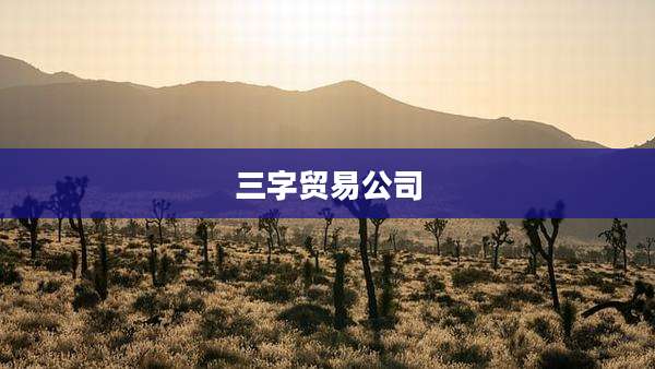 三字贸易公司