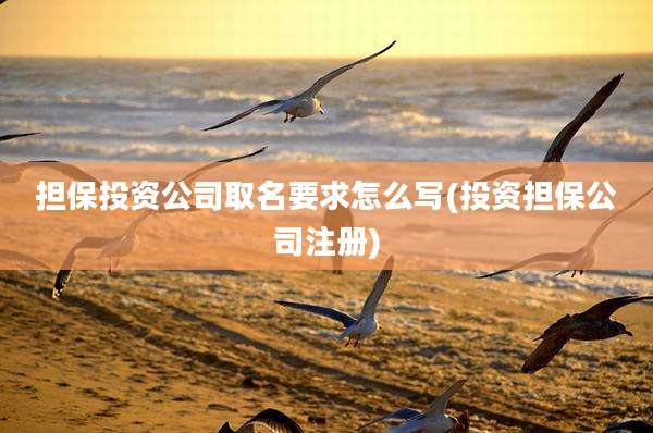 担保投资公司取名要求怎么写(投资担保公司注册)
