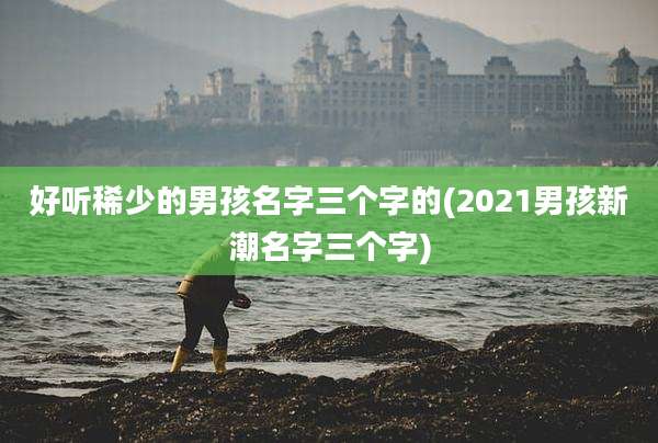 好听稀少的男孩名字三个字的(2021男孩新潮名字三个字)
