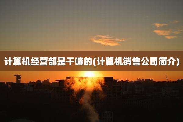 计算机经营部是干嘛的(计算机销售公司简介)