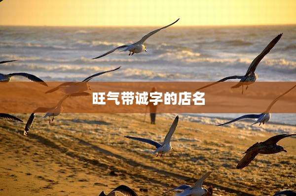 旺气带诚字的店名