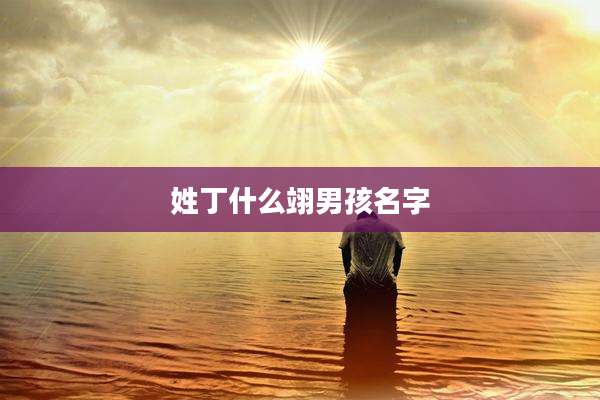 姓丁什么翊男孩名字