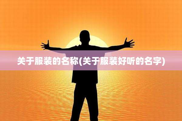 关于服装的名称(关于服装好听的名字)