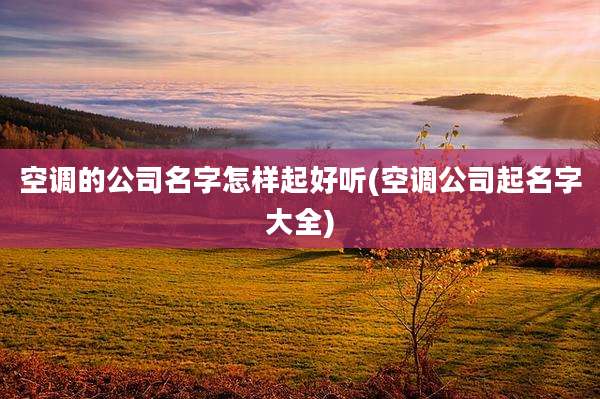 空调的公司名字怎样起好听(空调公司起名字大全)