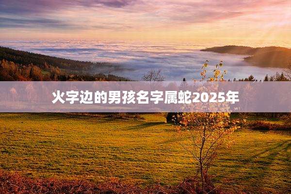 火字边的男孩名字属蛇2025年