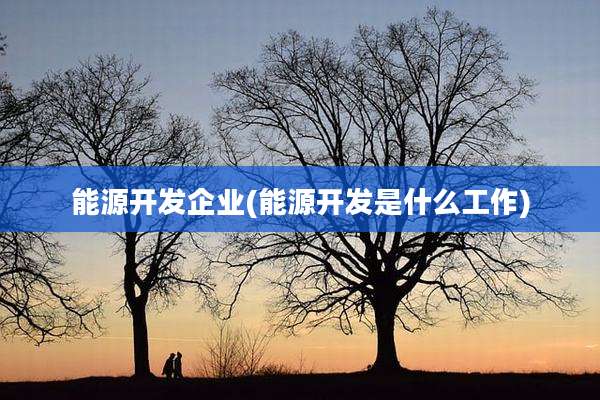 能源开发企业(能源开发是什么工作)