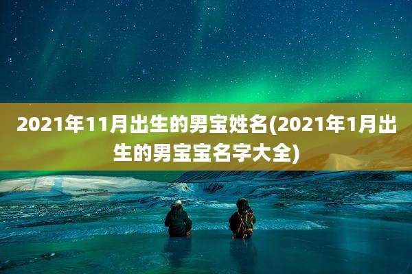 2021年11月出生的男宝姓名(2021年1月出生的男宝宝名字大全)