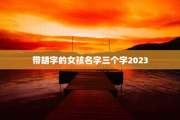 带胡字的女孩名字三个字2023