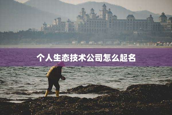 个人生态技术公司怎么起名