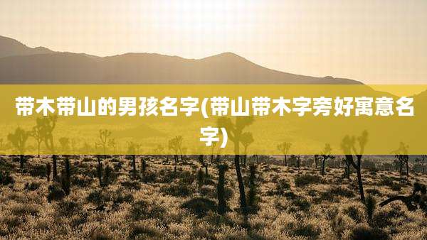带木带山的男孩名字(带山带木字旁好寓意名字)