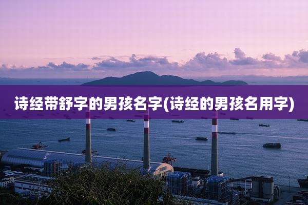 诗经带舒字的男孩名字(诗经的男孩名用字)