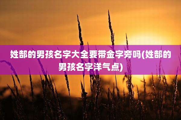 姓郜的男孩名字大全要带金字旁吗(姓郜的男孩名字洋气点)