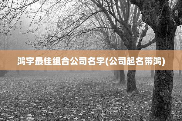 鸿字最佳组合公司名字(公司起名带鸿)