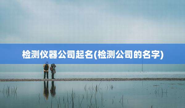 检测仪器公司起名(检测公司的名字)