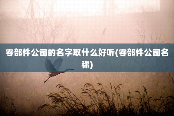 零部件公司的名字取什么好听(零部件公司名称)