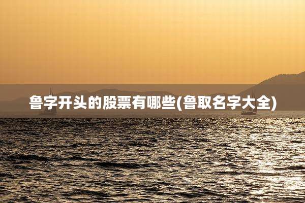 鲁字开头的股票有哪些(鲁取名字大全)