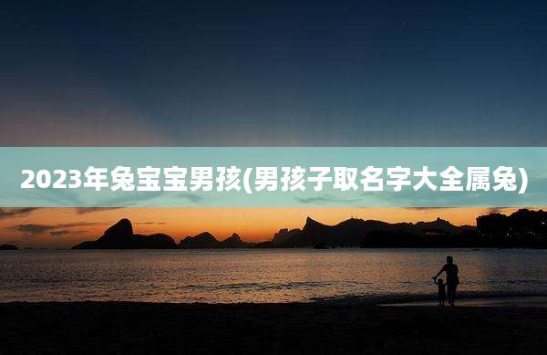 2023年兔宝宝男孩(男孩子取名字大全属兔)