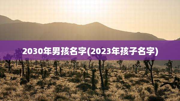 2030年男孩名字(2023年孩子名字)