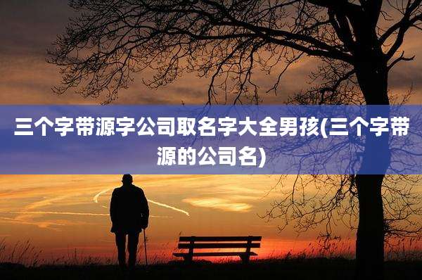 三个字带源字公司取名字大全男孩(三个字带源的公司名)