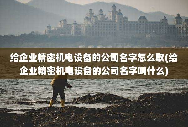 给企业精密机电设备的公司名字怎么取(给企业精密机电设备的公司名字叫什么)