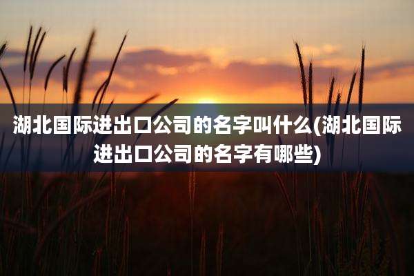 湖北国际进出口公司的名字叫什么(湖北国际进出口公司的名字有哪些)