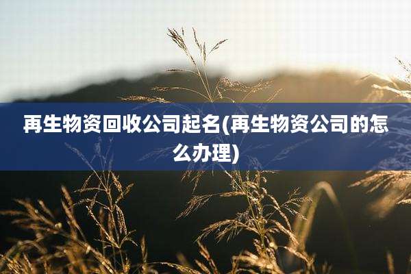 再生物资回收公司起名(再生物资公司的怎么办理)