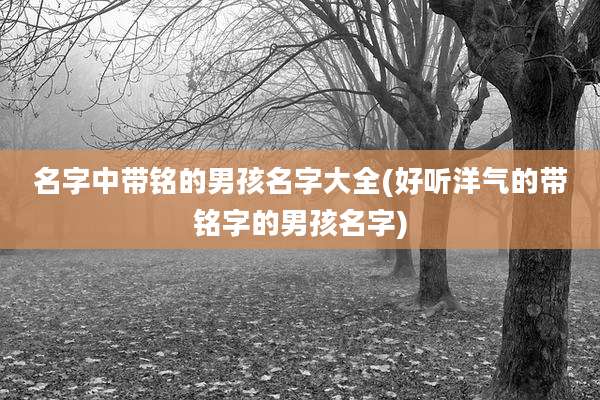 名字中带铭的男孩名字大全(好听洋气的带铭字的男孩名字)