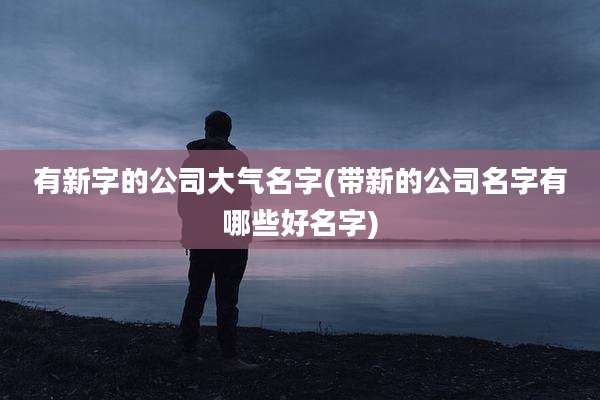 有新字的公司大气名字(带新的公司名字有哪些好名字)