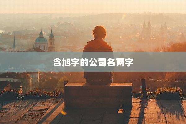 含旭字的公司名两字