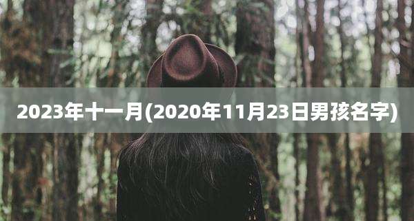 2023年十一月(2020年11月23日男孩名字)