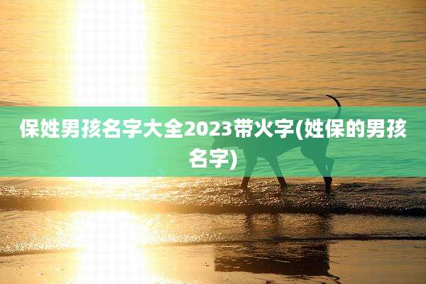 保姓男孩名字大全2023带火字(姓保的男孩名字)