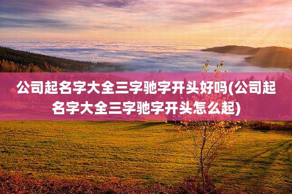 公司起名字大全三字驰字开头好吗(公司起名字大全三字驰字开头怎么起)