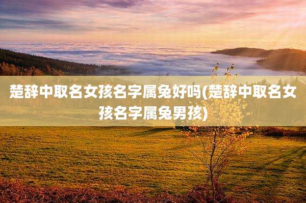 楚辞中取名女孩名字属兔好吗(楚辞中取名女孩名字属兔男孩)