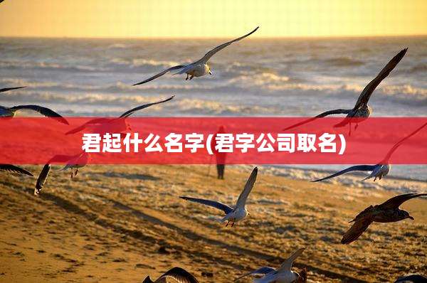 君起什么名字(君字公司取名)