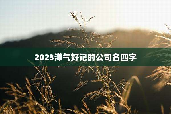 2023洋气好记的公司名四字