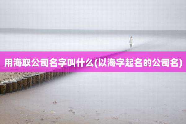 用海取公司名字叫什么(以海字起名的公司名)