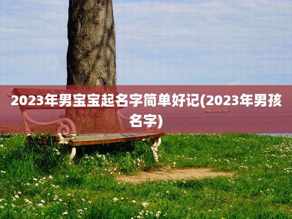 2023年男宝宝起名字简单好记(2023年男孩名字)