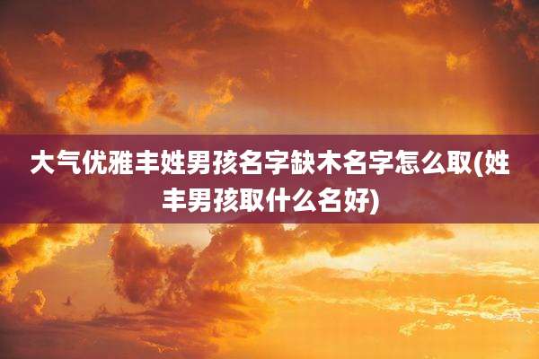 大气优雅丰姓男孩名字缺木名字怎么取(姓丰男孩取什么名好)