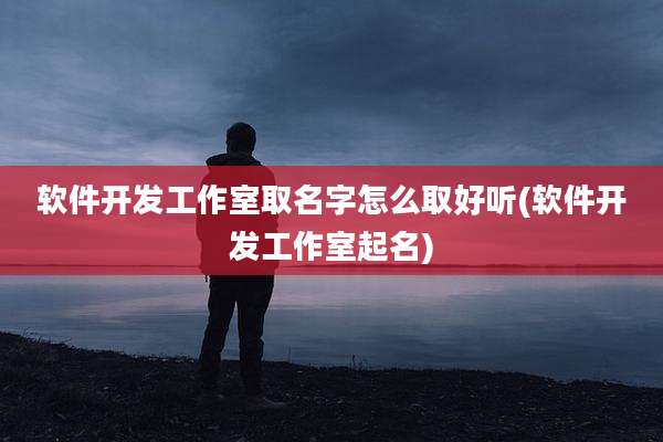 软件开发工作室取名字怎么取好听(软件开发工作室起名)