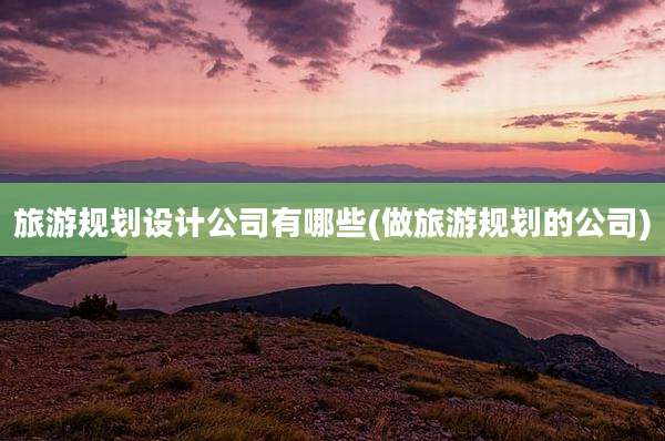 旅游规划设计公司有哪些(做旅游规划的公司)