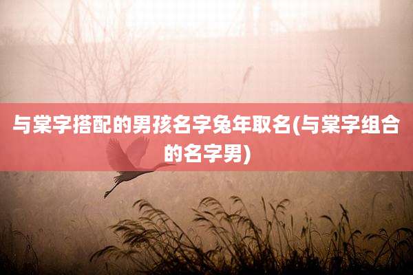 与棠字搭配的男孩名字兔年取名(与棠字组合的名字男)