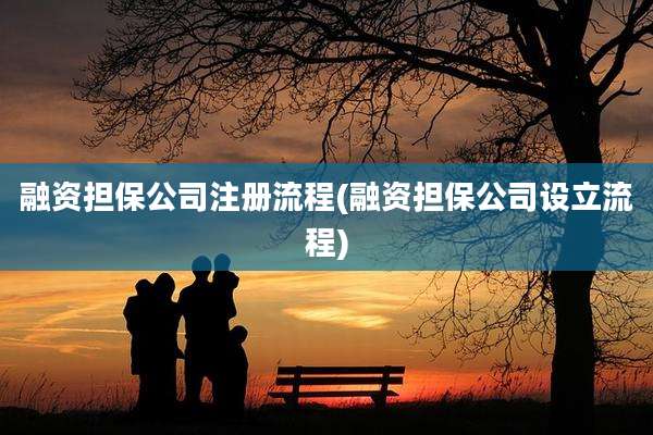 融资担保公司注册流程(融资担保公司设立流程)