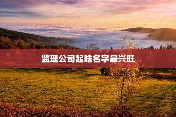 监理公司起啥名字最兴旺