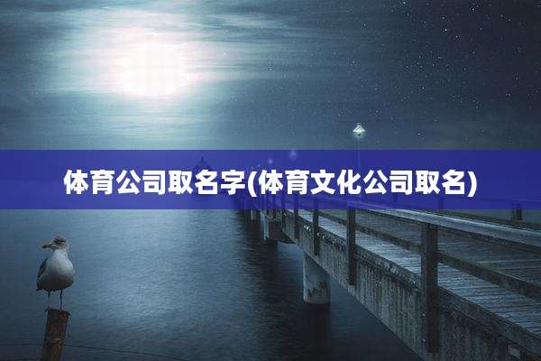 体育公司取名字(体育文化公司取名)