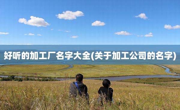 好听的加工厂名字大全(关于加工公司的名字)