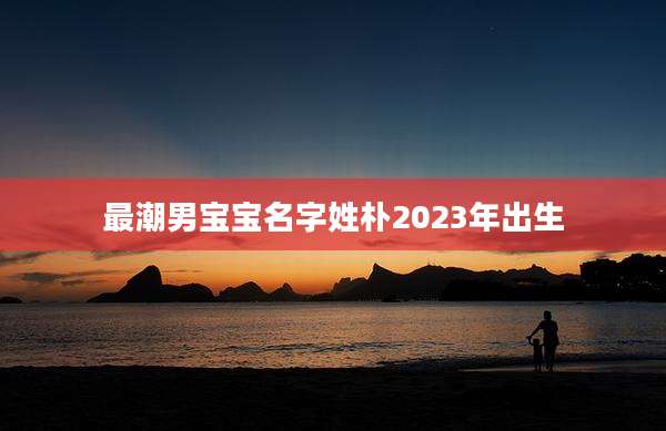 最潮男宝宝名字姓朴2023年出生