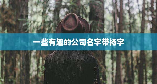 一些有趣的公司名字带扬字